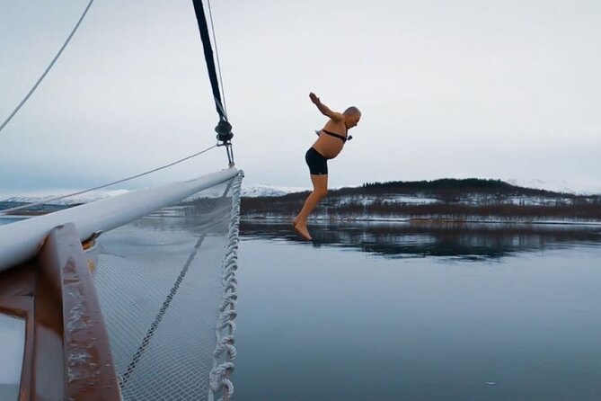 Tromso Luxury Sailing Yacht Polar Fjord Cruise With Lunch - Common Questions