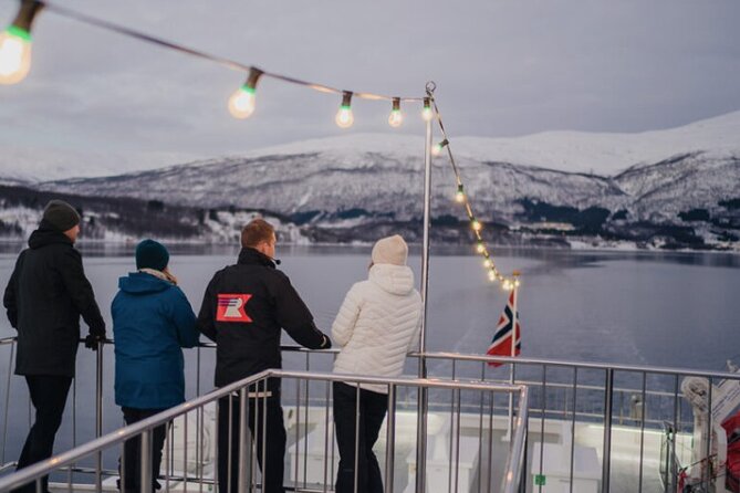 Tromsø, Northern Lights and Wilderness Evening Catamaran Cruise - Travel Tips