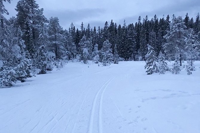 Trondheim Small-Group Cross-Country Skiing Adventure - Customer Reviews