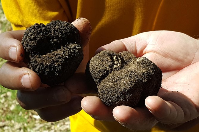 Truffle Hunting at Meteora - Sample Menu for the Truffle Hunt