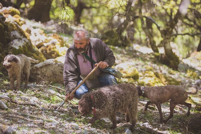 Truffle Hunting, Culinary & Wine Celebration From Elounda - Additional VIP Services