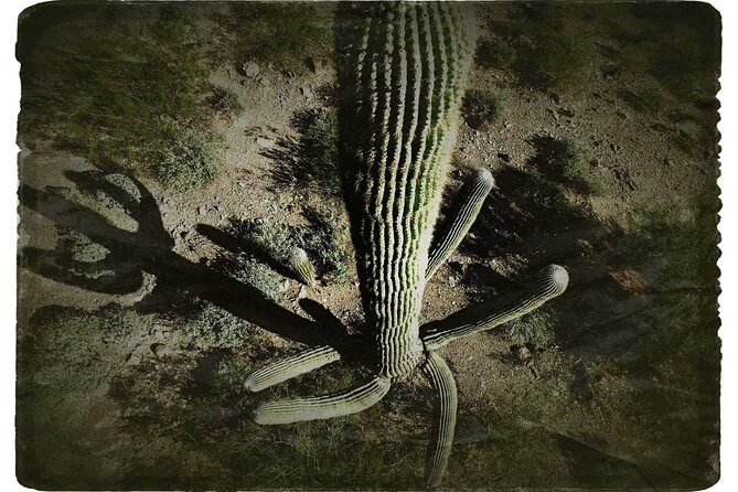 Tucson Interactive Scavenger Hunt  - Arizona - Background