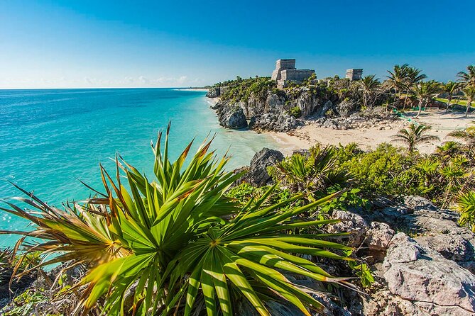 TULUM, CENOTE, MYSTIKA MUSEUM, TURTLES SNORKELING (Private) - Positive Feedback and Recommendations
