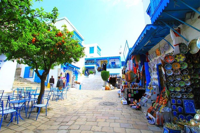 Tunisia 6 Days 5 Nights Private Tour ( Free SIM Card 24h Customer Service) - Tour Terms and Conditions
