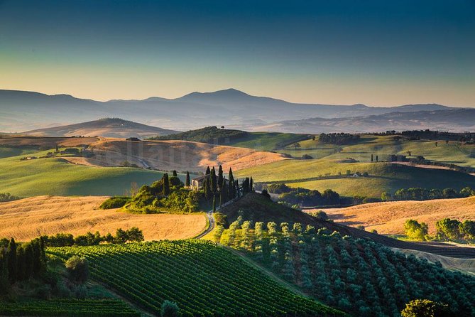 Tuscan Winery Tour and Wine Tasting  - Montecatini Terme - Questions and Terms