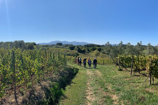 Tuscany and Wine Tasting Private Tour From Livorno - Insights From Traveler Photos and Reviews
