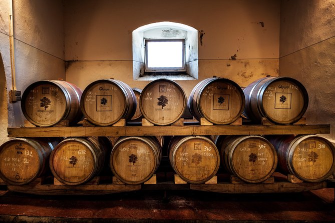 Tuscany Winery Lunch Plus Pottery Class or Horseback Riding  - Florence - The Sum Up
