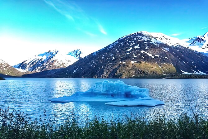Ultimate Anchorage and Turnagain Arm Private Full Day Tour - The Sum Up
