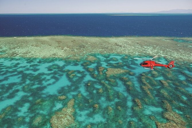 Ultimate Great Barrier Reef and Rainforest 45-minute Helicopter Tour - Additional Information