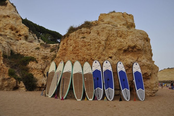 Unique Stand Up Paddle Experience! - Traveler Photos