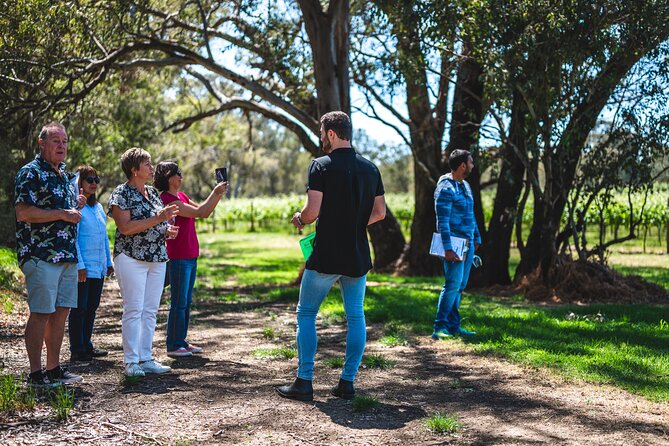 Upper Reach Winery: Swan Valley Winery and Vineyard Tour - Highlights of the Swan Valley Region