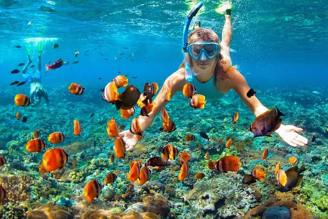 V.I.P Snorkeling & Fishing Tour ( Speed Boat ) Minimum 02 People - Minimum Group Size