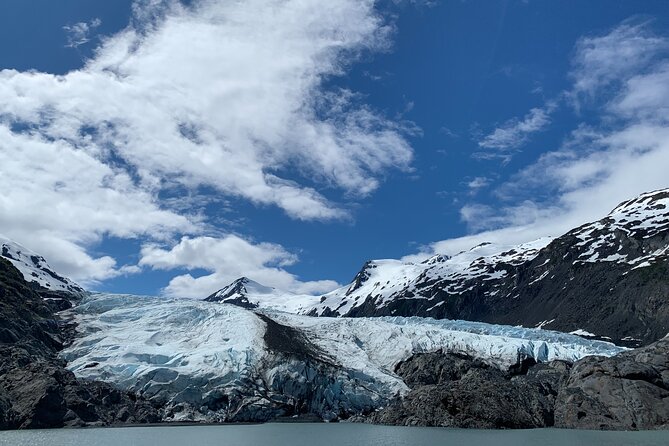 Valley of Glaciers Experience With Portage Glacier Cruise and Wildlife Tour - Common Questions