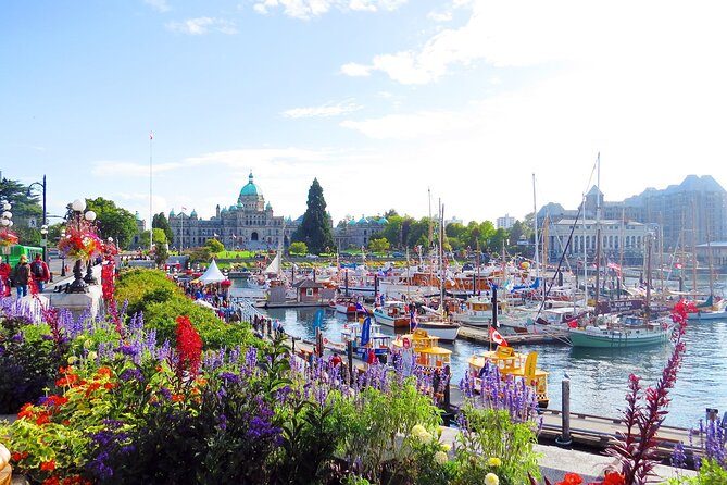 Vancouver Island 2-Day Tour 3/4/5 Star Hotel (Chinese & Eng) - Accommodation Options