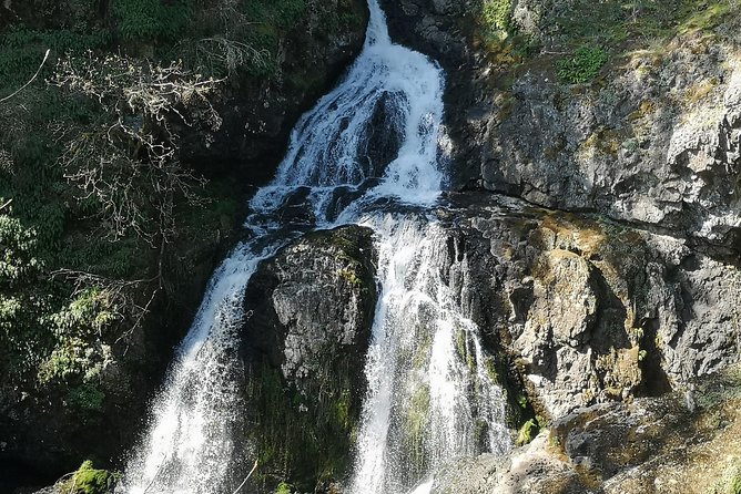 Vancouver Island Rainforest Guided Hike With Private Guide - Guide Expertise and Personalized Experience