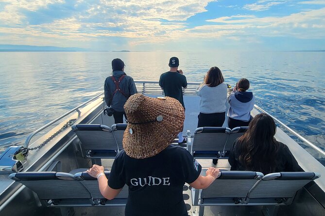 Vancouver Island Whales, Wildlife and Culture - Common Questions