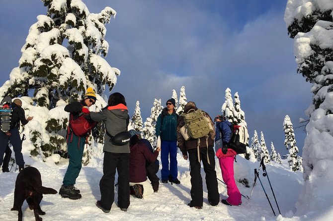 Vancouver Panoramic View Hike - Trail Highlights and Photo Opportunities