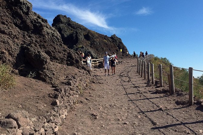 Vesuvius and Herculaneum Day Trip From Naples With Skip the Line - Changes to Meeting Point and Tour Time