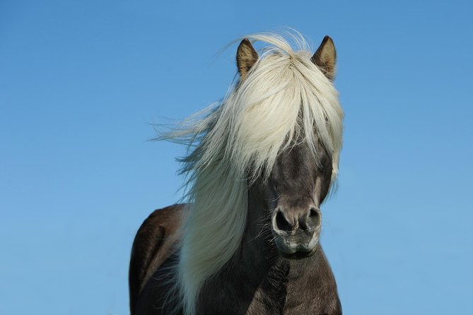 Viking Horse Riding and Golden Circle Tour From Reykjavik - Directions