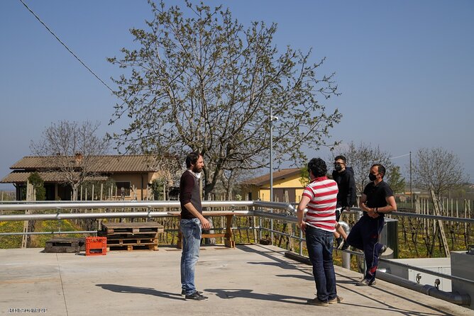 Vineyard Tour and Tasting of Lugana Wines - Cancellation Policy and Refunds