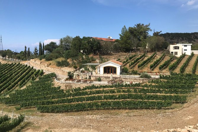 Vineyard & Wine Tasting Tour - Meeting and Pickup Details