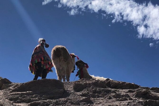 Vinicunca Rainbow Mountain Tour Including Breakfast & Lunch From Cusco - The Sum Up