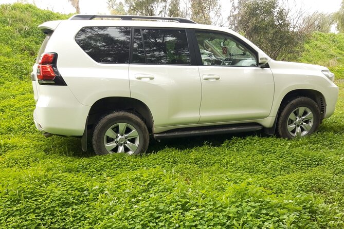 VIP Transfer Between Tunis Carthage Airport and a Hotel in Tunis - Questions and Terms
