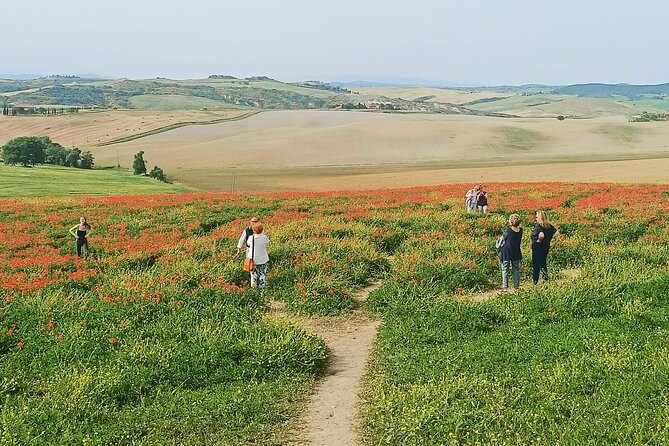 VIP Wine Experience Montalcino & Montepulciano With Lunch - Contact Information