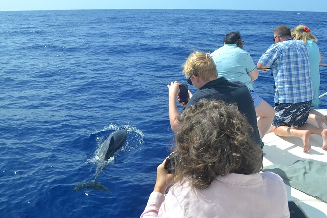 VipDolphins Luxury Whale Watching - Customer Reviews and Overall Experience