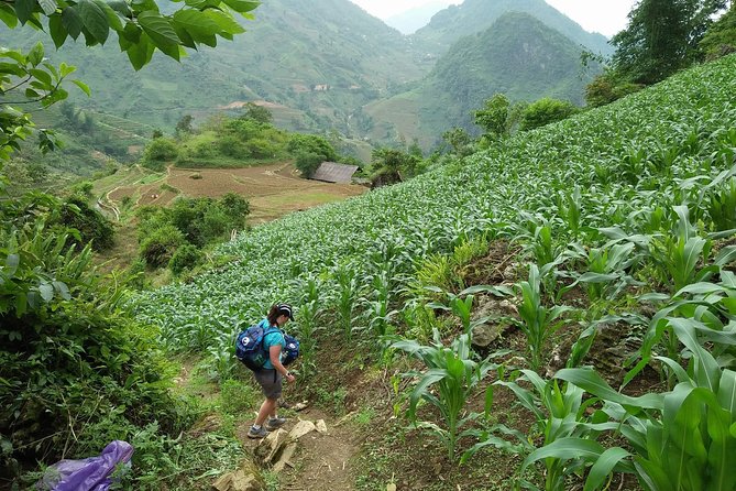 Visit Love Waterfall & Luscious Nature Trek With Fantastic Views - The Sum Up