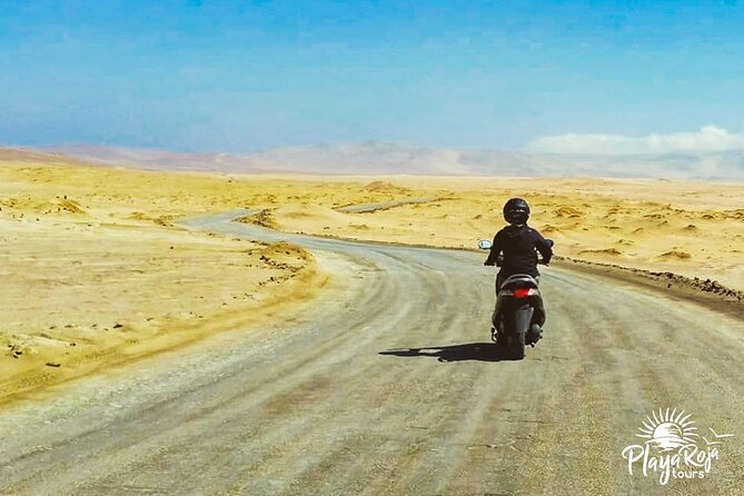 Visit the Paracas National Reserve on a SCOOTER - How to Rent a Scooter for Your Paracas National Reserve Adventure