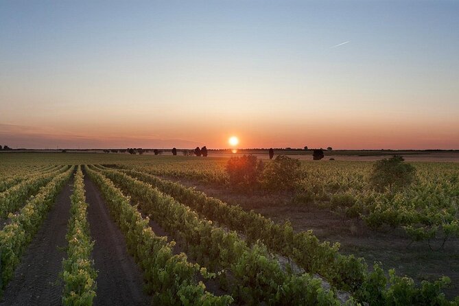 Visit to a Winery in Salento With Wine Tasting and Light Lunch. From Lecce - Departure and Booking Information