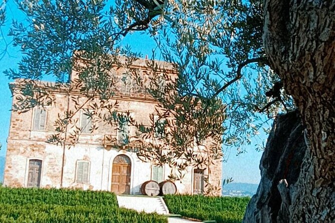 Visit to the Podere Castorani Winery and Wine and Food Tasting - Additional Information and Resources