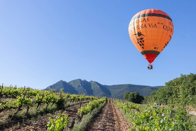 Visit to the Winery With Wine Tasting and Appetizers in Navarra - The Sum Up