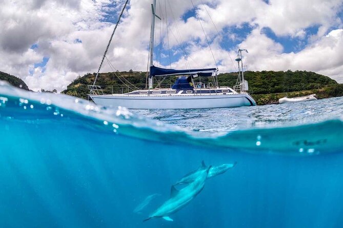 Waikiki Small Group Turtle Snorkeling & Sailing - Common Questions (FAQs)