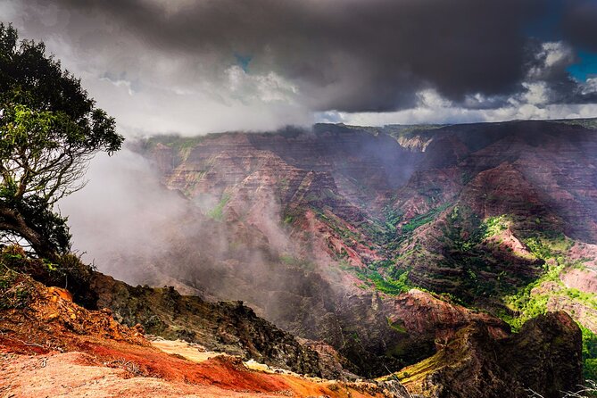 Waimea Canyon Private Tour With Local Guide - Directions