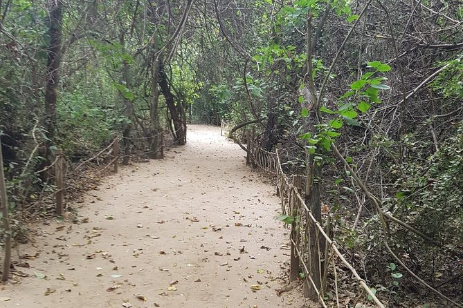 Walk And Snorkel In The National Park HT - Hear What Travelers Are Saying About National Park HT