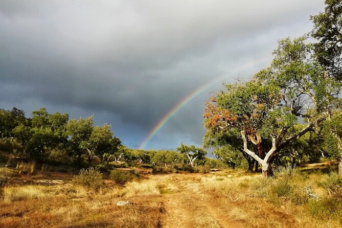 Walk on the Alentejo Cork Forest With Optional Lunch - Customer Support and Contact Information