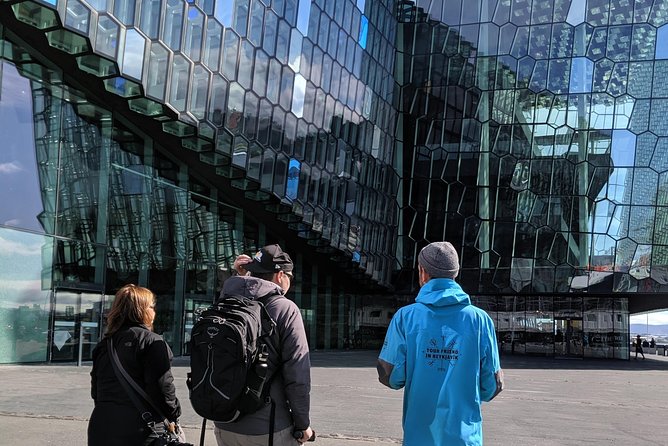 Walk With a Viking: Private Tour of Reykjaviks Top Sights and Local Spots - Price and Group Size