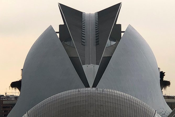Walking Tour of the City of Arts and Sciences - Overview and Meeting Details