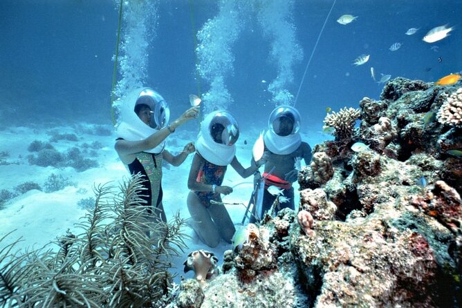 Walking Under Sea - Snorkeling in Cham Island - Common Questions
