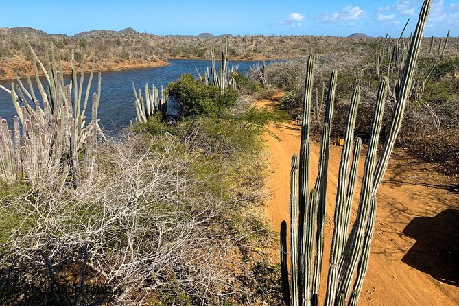 Washington Park Tour With Local Guide on Bonaire - Tour Duration and Ticket Details
