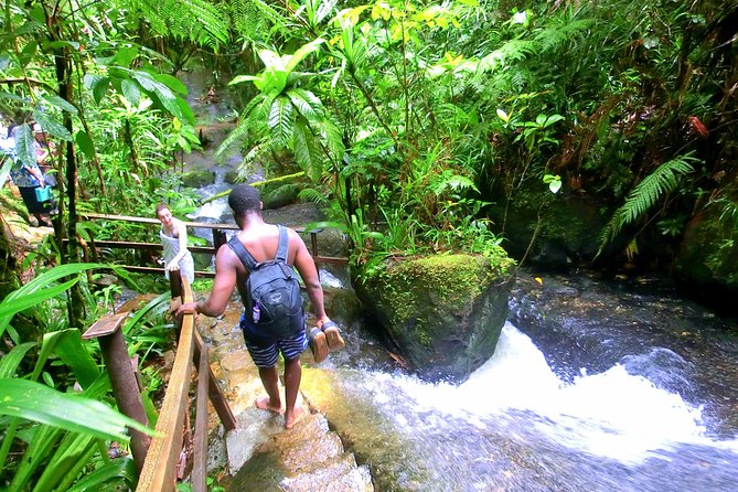 Waterfalls and Nature Tour - Traveler Photos