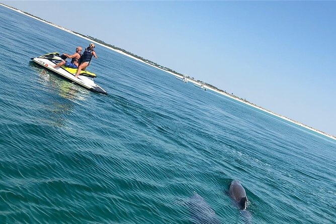 Waverunner Dolphin Tour - Directions
