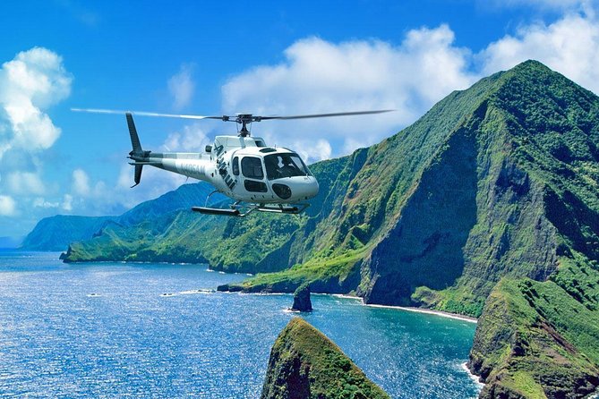 West Maui and Molokai 60-Minute Helicopter Tour - Positive Experiences