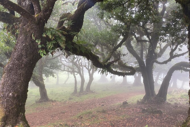 West Side Private Full Day Madeira Tour - Directions and Itinerary