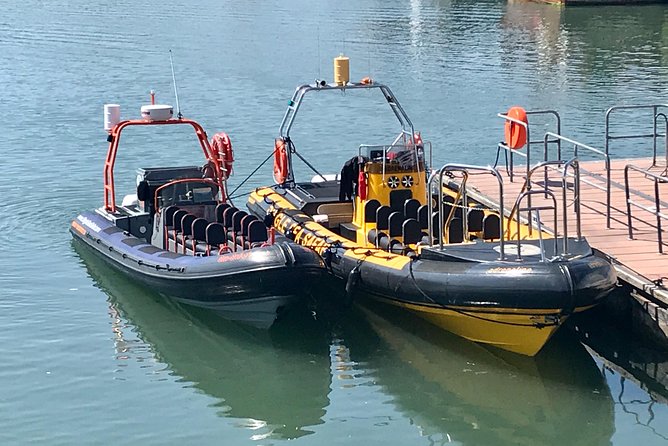 Western Ireland: Dingle Peninsula Small-Group RIB Boat Tour - Waterproof Gear Provided