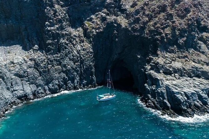 Whale and Dolphin Watching Cruise With Snacks & Open Bar - The Sum Up