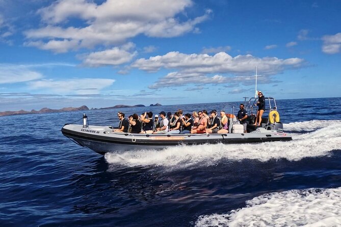 Whale and Dolphin Watching Tour From Funchal - Snorkeling and Marine Life Opportunities