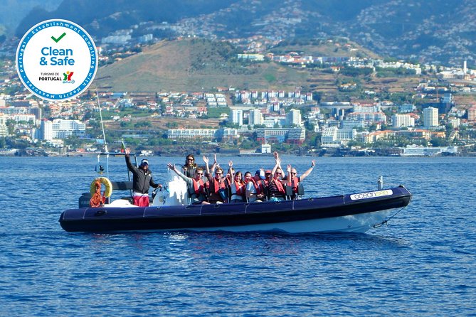 Whale, Dolphin and Turtles Watching - Reviews From Viator Travelers
